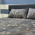 Appartamento Altinate33