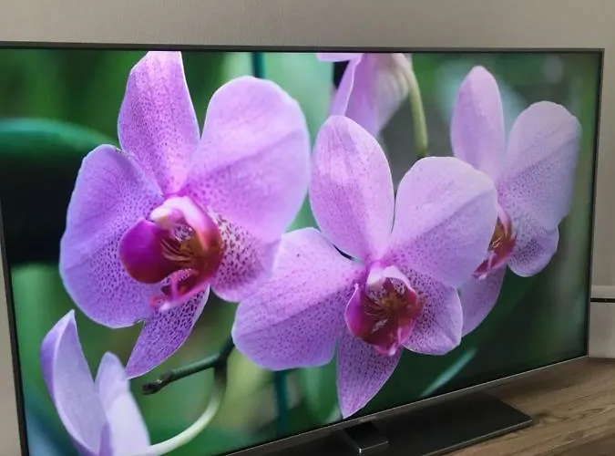 Lägenhet Altinate33 *